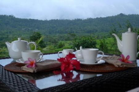 Villa Shantiasa Bali Sidemen  Dış mekan fotoğraf