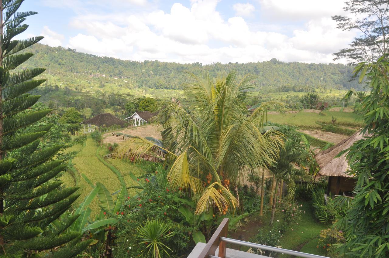 Villa Shantiasa Bali Sidemen  Dış mekan fotoğraf